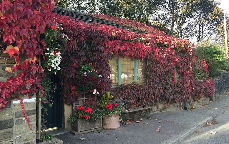 Ploughcroft Cottage